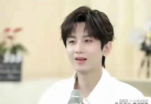 娱乐圈爆料成毅,娱乐圈爆料背后的真实人生